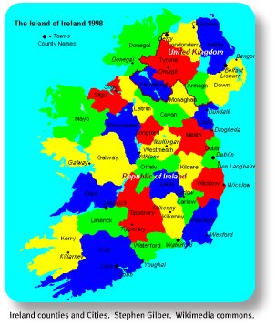 How many leinster counties are in the bmw #4