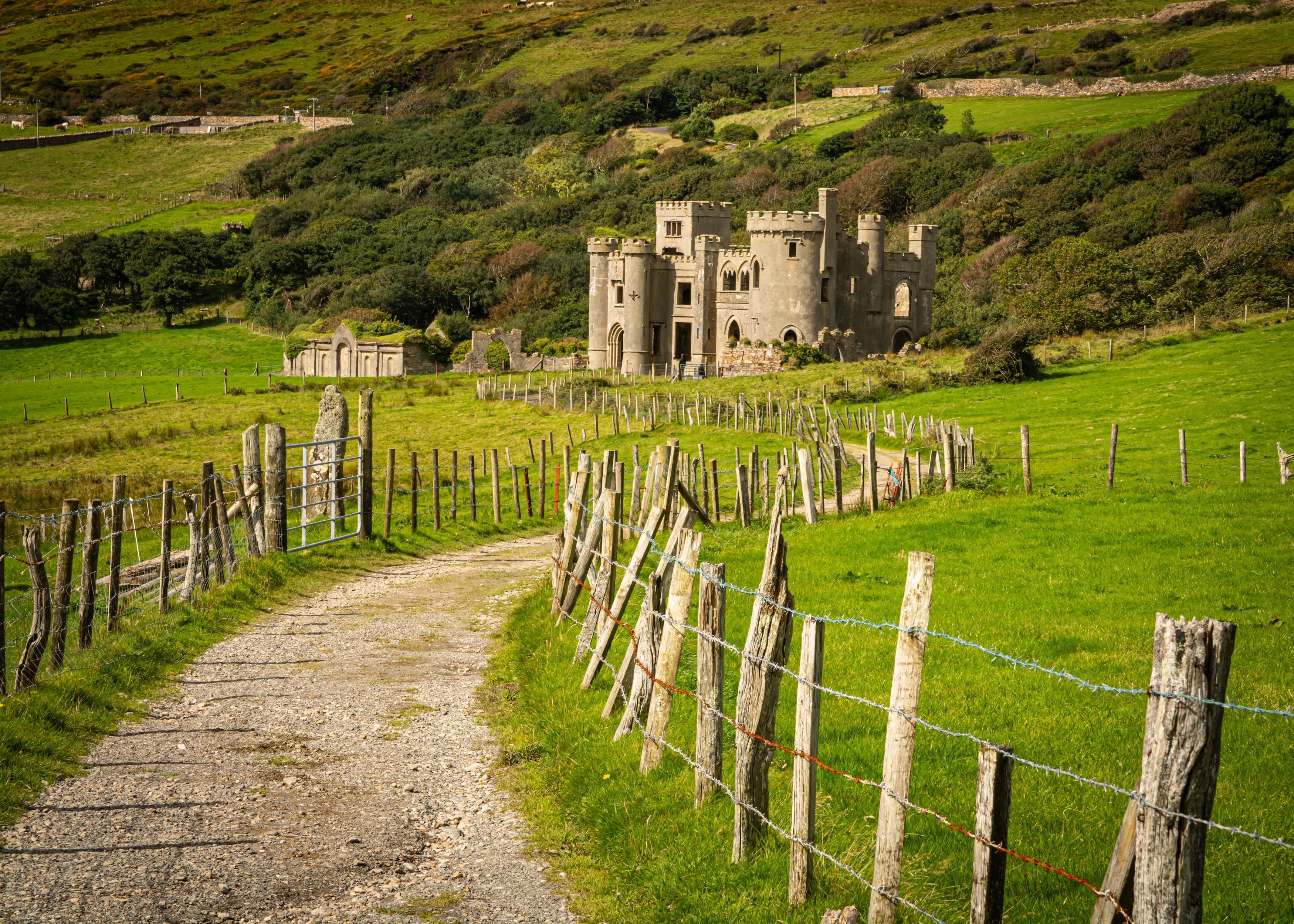 Clifden Castle roadway entrance via Shutterstock.